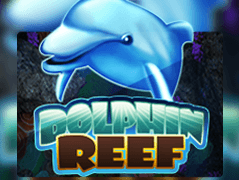 Dolphin Reef game cover