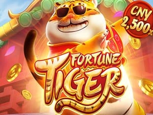 Fortune Tiger game cover