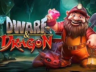 Dwarf & Dragon game cover